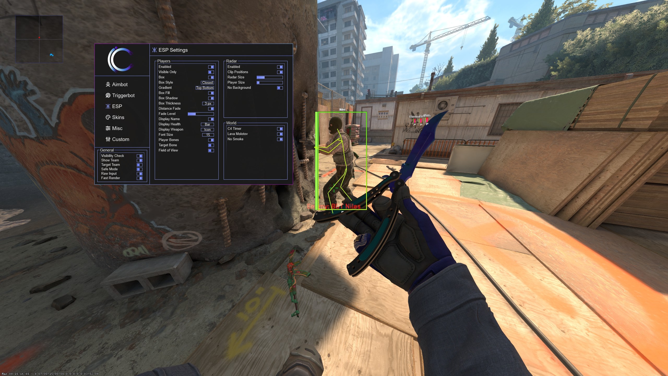 CS2 ESP wallhack settings and player box in game